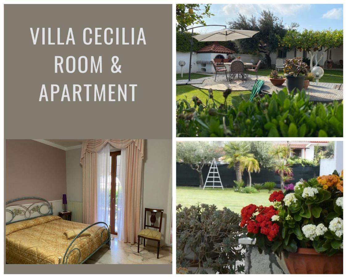 Villa Cecilia Bed And Breakfast Cellole 外观 照片